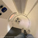 Newtowne Hyperbarics C4-40" (120L Compressor) Hyperbaric Chamber for Home, Office, and Clinical Use in White - shown here at Elite Health Way - as seen on Elite Health Way